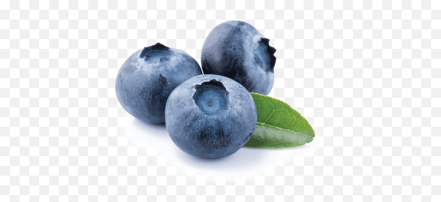 Blueberry - Germinal Organic Food Png,Blueberry Png