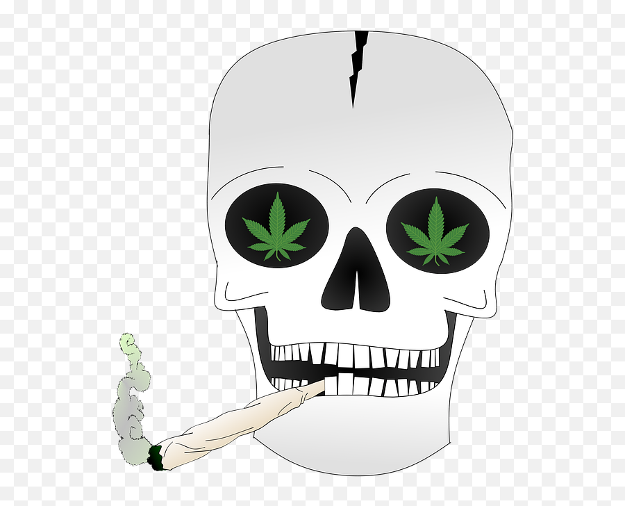 Skull And Crossbones Death - Free Image On Pixabay Bone Png,Skull And Crossbones Transparent Background