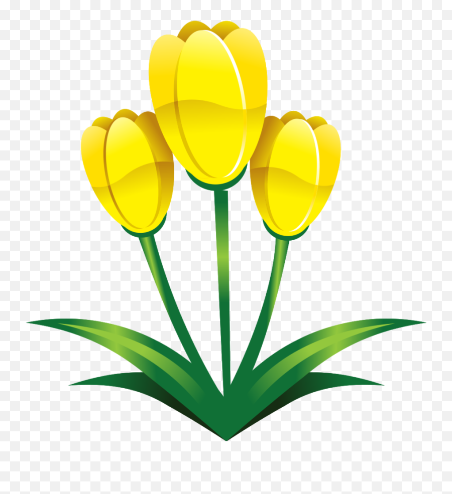 Free Flower Yellow Png With Transparent Background - Vector,Tulips Transparent Background