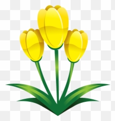 Free Flower Yellow Png With Transparent Background - Vector
