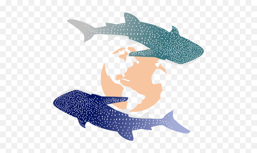 Atlanta - Whale Shark Png,Whale Shark Png