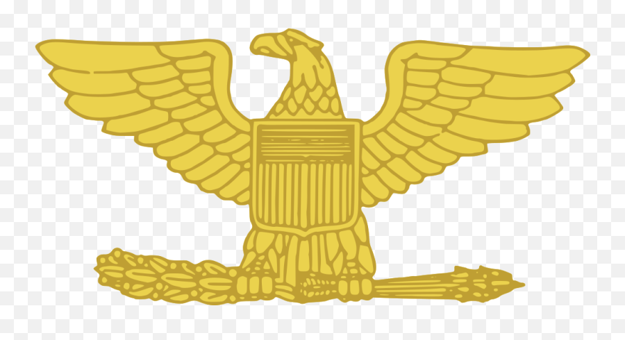 Colonel Gold - Transparent Army Colonel Rank Png,Gold Vector Png