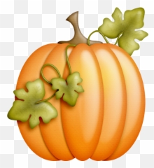 Fall Clip Art Solange Image Digital Cards - Thanksgiving Pumpkin png