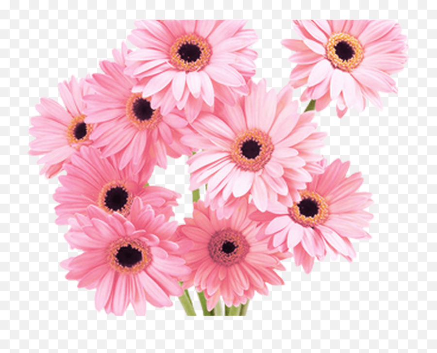 Download Flowers Pink Tumblr Vaporwave Aesthetic - Flower Flower Pink Hd Png,Flower Tumblr Png