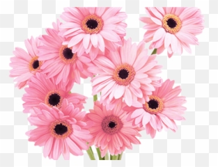 Download Flowers Pink Tumblr Vaporwave Aesthetic - Hd png
