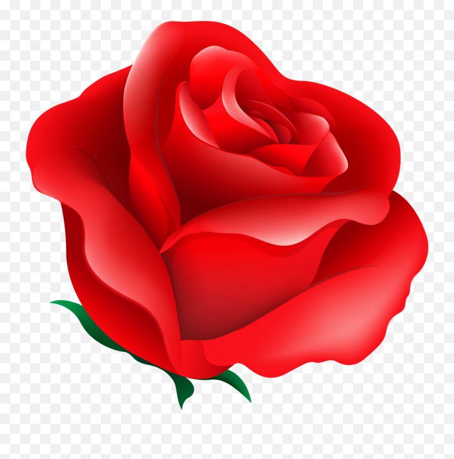 Rosas Rojas Arte Floral Flores De - Letter R Rose Clipart Png,Rosas Rojas  Png - free transparent png images 