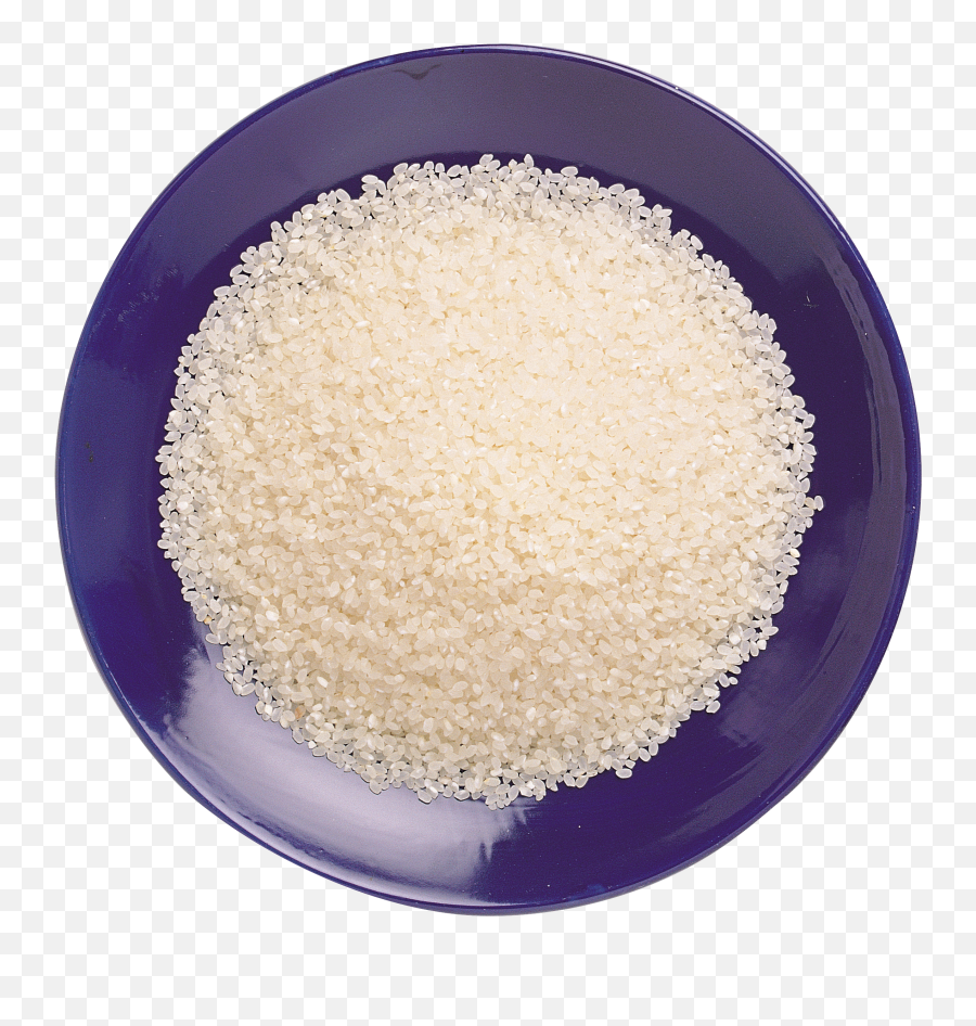 Rice High Quality Png Web Icons Transparent Background