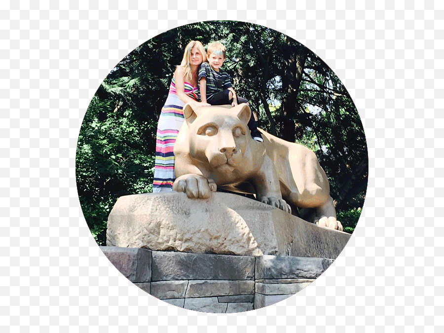 Board Members The Penn State Alumni Association - Pennsylvania State Nittany Lion Shrine Png,Nittany Lion Icon