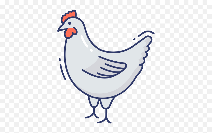 Chicken - Free Animals Icons Comb Png,Poultry Icon