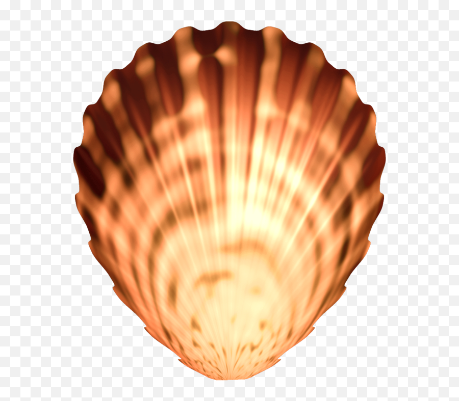 Seashell Png Image Transparent Arts - Portable Network Graphics,Sea Shell Png