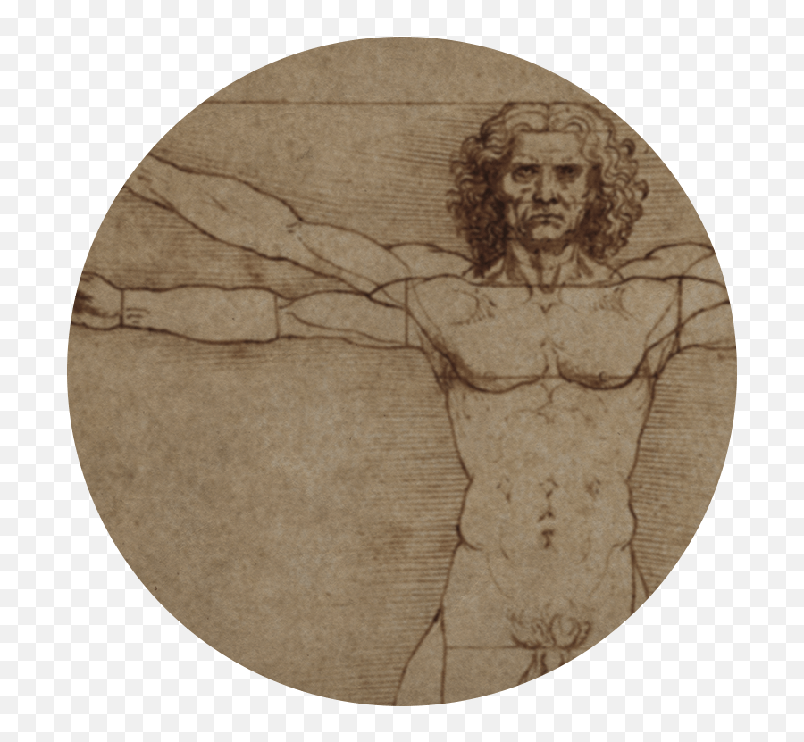 The Winery Inspired By Genius Leonardo Da Vinci - Vitruvian Man Close Up Png,Vitruvian Man Icon