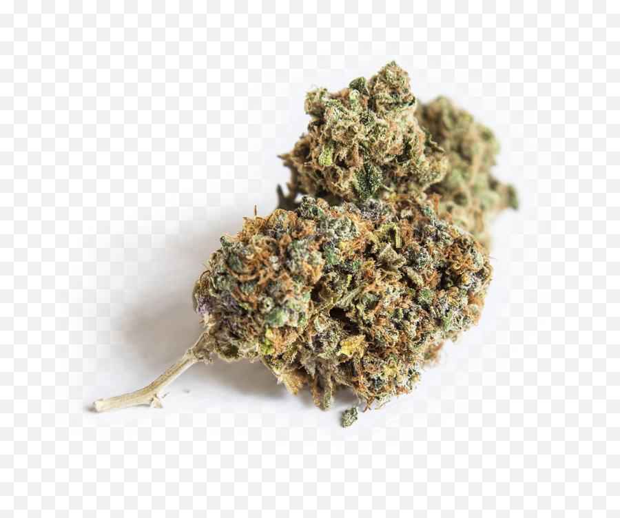 Auto Cure - Cannabis Nug Png,Weed Transparent Background