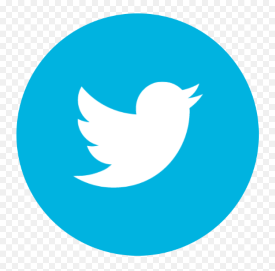 Twitter Icon - Twitter Icon Png Round,Twitter Icon White Png