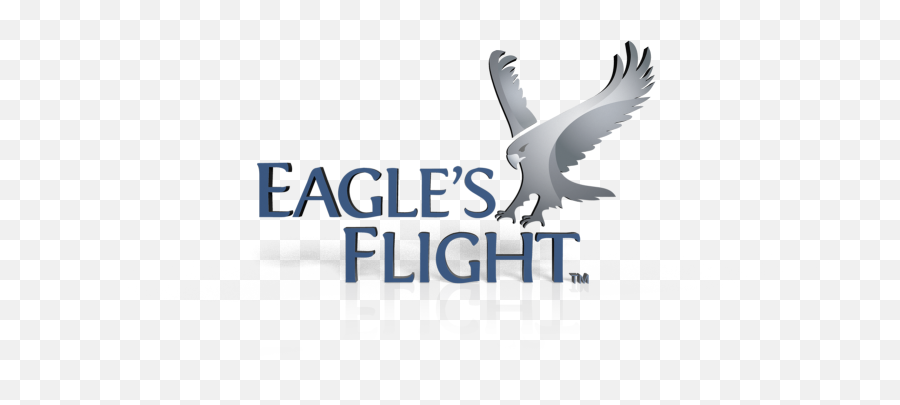 Eagleu0027s Flight Culture Transformation - Flight Logo Png,Eagle Logo Transparent