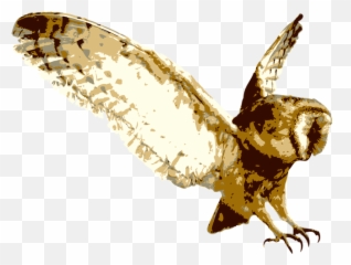 Download Barn Owl Transparent Background - Free Transparent Woodlands Family Theme Park Png,Owl Transparent