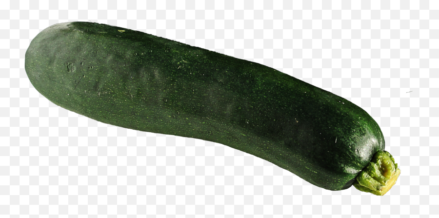 Download Zucchini Png Image For Free - Zucchini Png,Squash Png