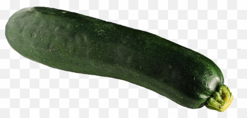 Download Zucchini Png Image For Free - Zucchini Png,Squash Png