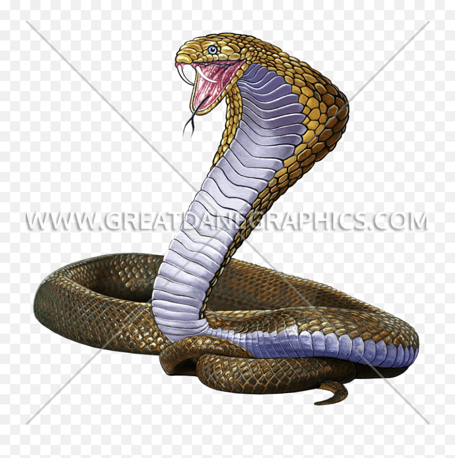 Download Mascot Production Ready Artwork For T Shirt - King Cobra Png,King Cobra Png