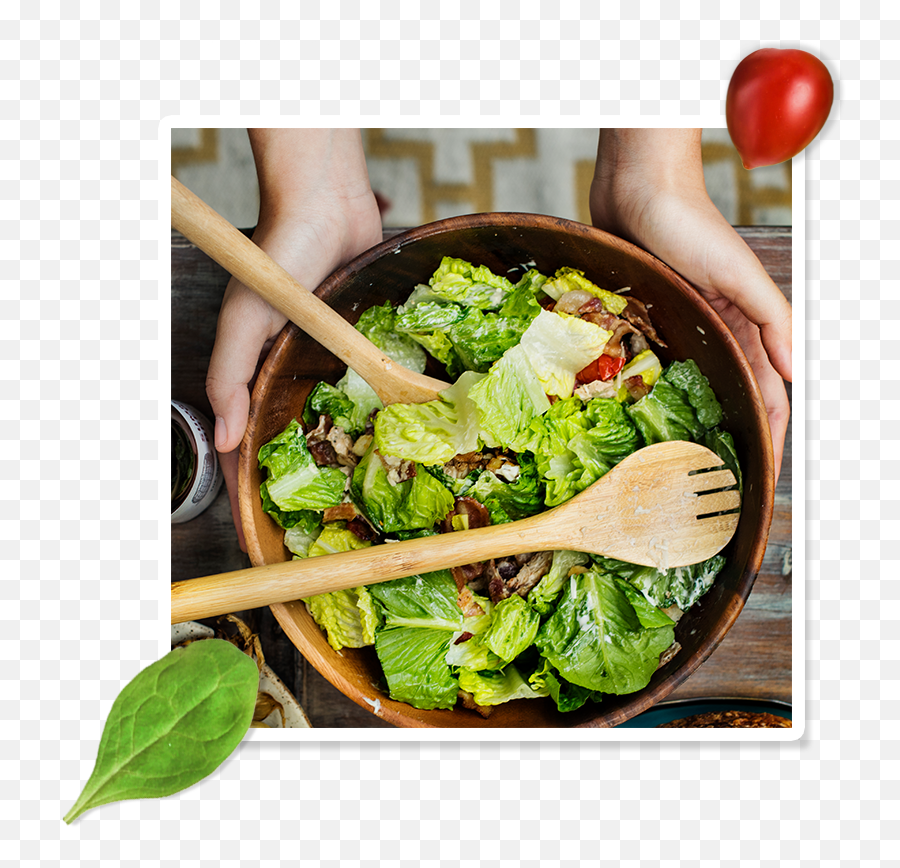 Shake Salad - Food For Pregnancy And Lactation Png,Salad Transparent Background