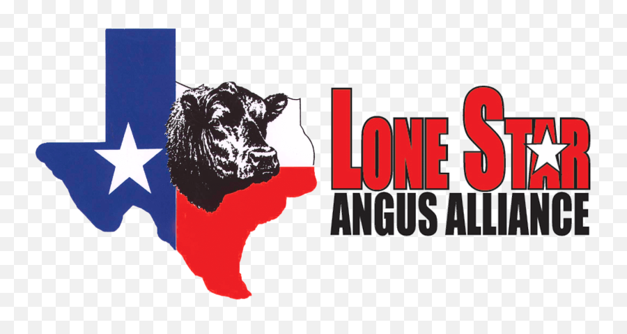 Home - Lone Star Angus Alliance Leading Angus Genetics Tx Graphic Design Png,Texas Star Png