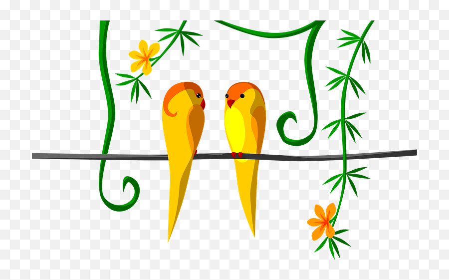 Parrot Couple Jungle Tropical - Nem Tudo Funciona Com Wi Fi A Melhor Conexão É Do Coração Png,Bird Logos