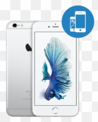 Apple Iphone 6s Plus 16gb Mku12 - Silver Iphone 6s Colours Png,Iphone 6s Plus Png