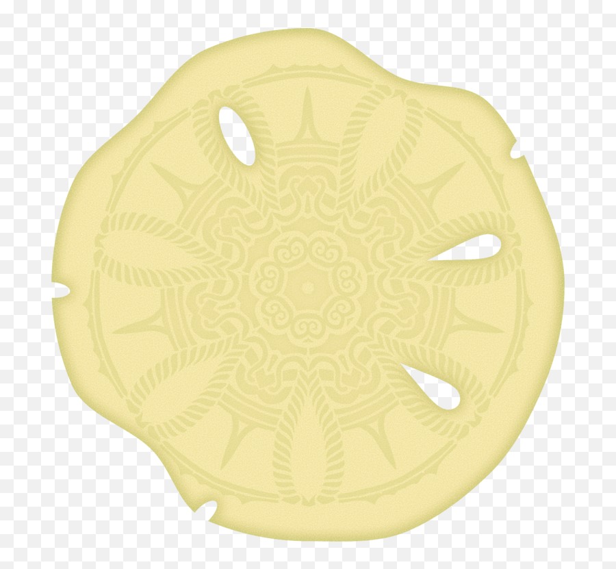 Sand Dollar Skeleton Computer Icons Animal - Skeleton Circle Png,Sand Dollar Png