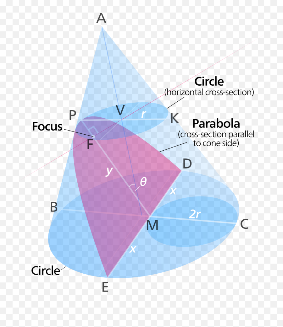 Parabolic Conic Section - Cross Sections Of Cone Png,Parabola Png