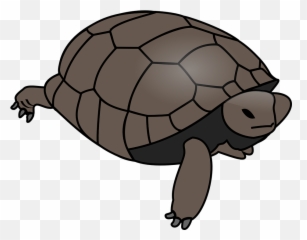 Clipart Transparent Background - Brown Turtle png