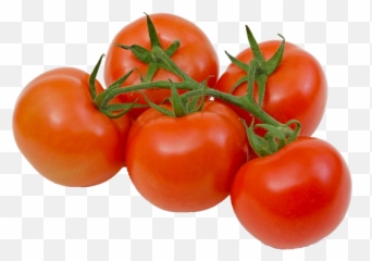 Common Garden Crop Prized - Vine Tomatoes Png