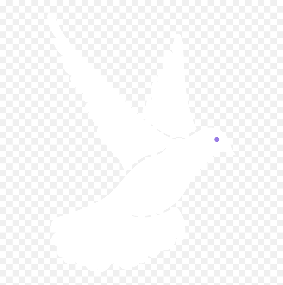 White Dove Release - Stock Dove Png,White Doves Png