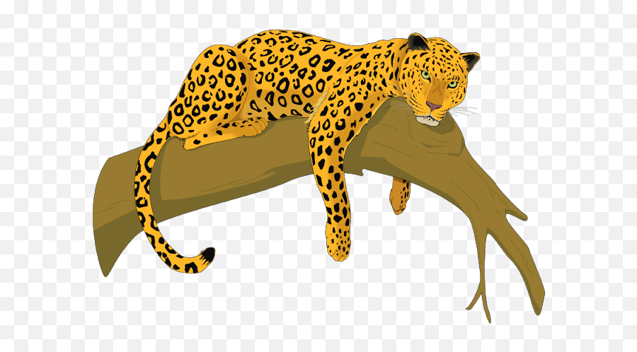 Pictures Of Leopards In Trees - Leopardcheetah Free Png Jaguar Clipart,Leopard Png