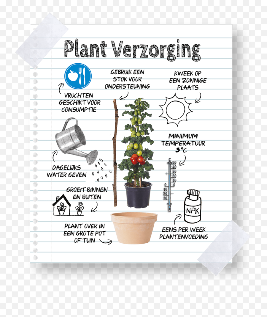 Download Keep Farmzy Tomato Plants - Flowerpot Png,Tomato Plant Png