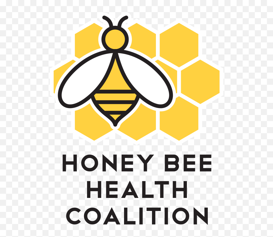 Honey Bee Logo - Bing Images Logo Bee Honey Logo Bee Node Js Can Do Png,Bing Logo Png