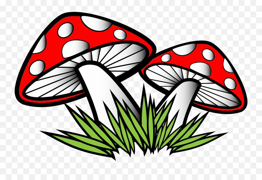Mushrooms Clipart Free Download Transparent Png Creazilla - Fungi Clipart,Mushroom Transparent