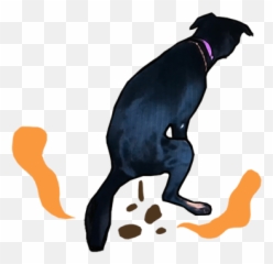 How Our Story Began - Pawmeal For Pets By Pet Parents Martingale Png,Dog Poop Png