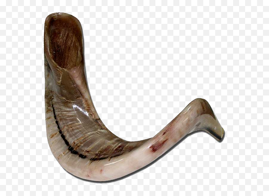 Download Hd Png Gold Icon Shofar Horn - Shofar,Shofar Png