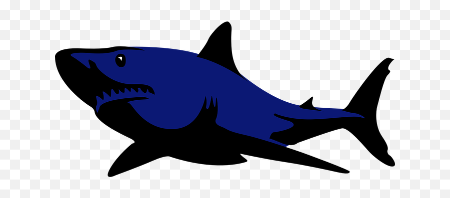 Over 80 Free Shark Vectors - Pixabay Pixabay Shark Clipart Png,Shark Icon