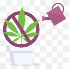 Cannabis Home Grow Is Prohibited - Marijuana Leaf png