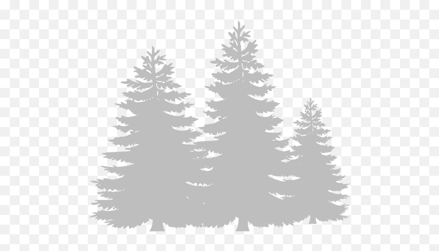 Home - In The Woods Events Evergreen Trees Clipart Png,Night In The Woods Icon