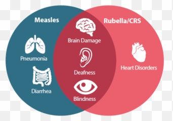 About Global Measles Rubella And Congenital - Campaign png