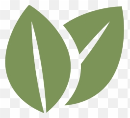 Leaf Icon - Sustainability Free Full Size PNG Download Transparent