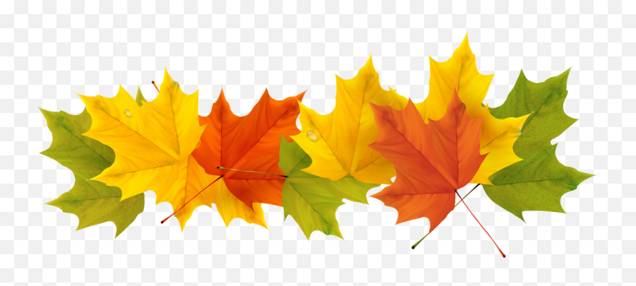 Transparent Leaf Clip Art - Clear Background Fall Leaves Clipart Png,Autumn Leaf Png
