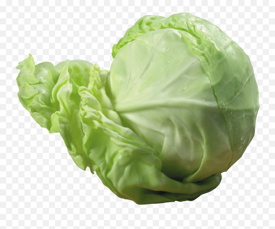 Clipart Vegetables Cabbage - Transparent Background Cabbage Transparent Png,Cabbage Transparent