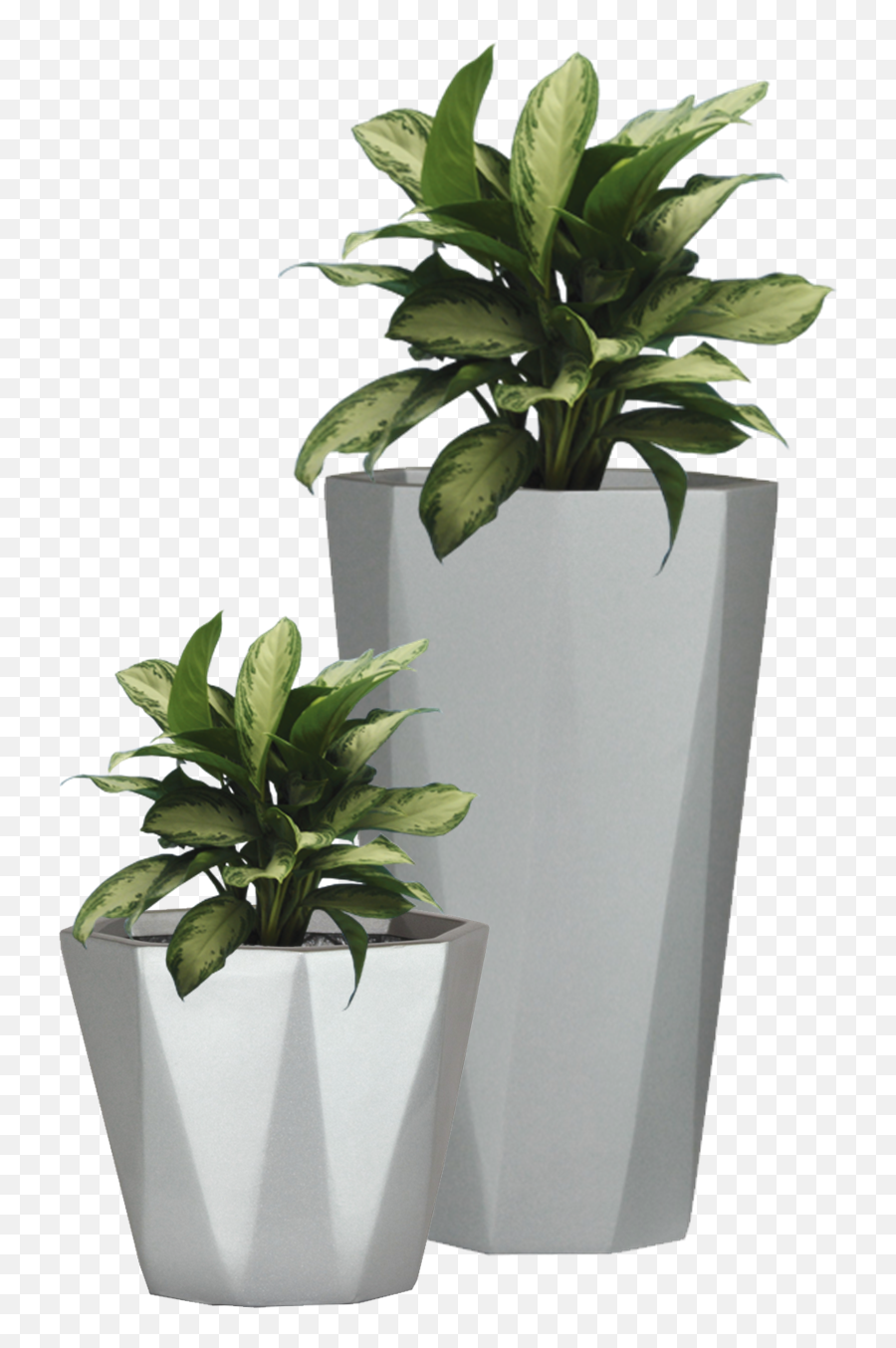 Flowerpot Etsy Wall Decal Succulent - Plant With Pot Png,Succulent Transparent Background