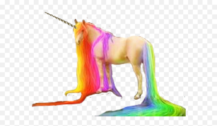 White Unicorn Horn Png 4 Image - Rainbow With A Unicorn Horn,Unicorn Horn Png