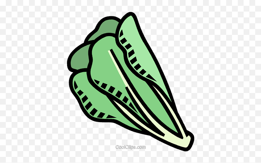 Romaine Lettuce Royalty Free Vector - Lettuce Coloring Page Png,Romaine Lettuce Png