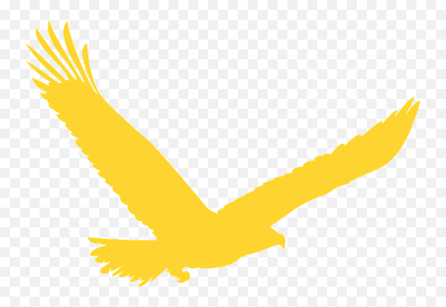 American Eagle Silhouette - Automotive Decal Png,Eagle Silhouette Png