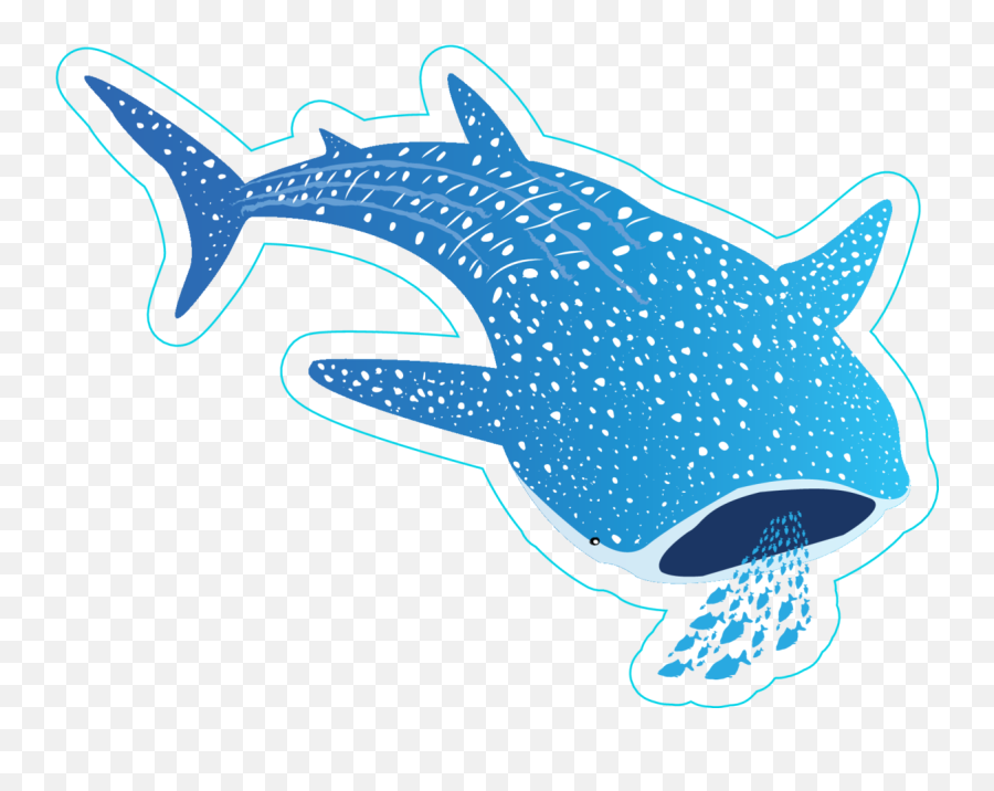 Whale Shark Eating Fish Sticker - Cartoon Whale Shark Clipart Png,Whale  Shark Png - free transparent png images 