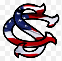 South Carolina Gamecocks Baseball - South Carolina Baseball Png,Gamecocks Logo Png
